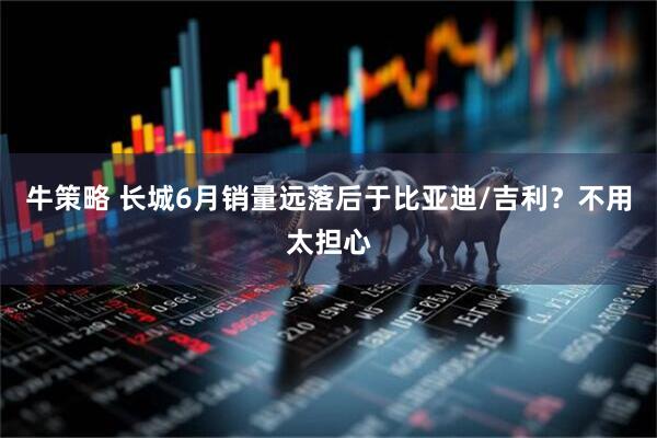 牛策略 长城6月销量远落后于比亚迪/吉利？不用太担心