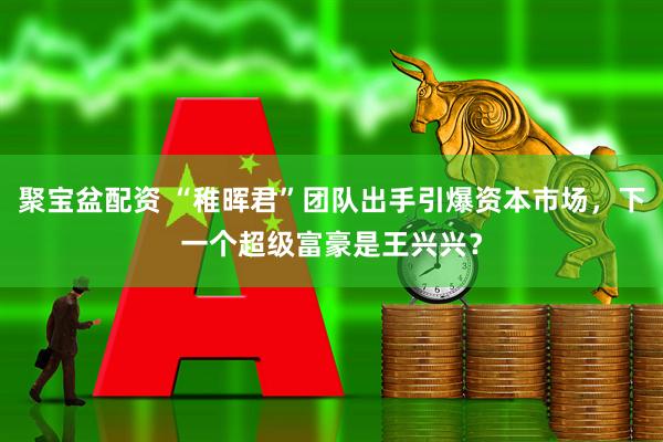 聚宝盆配资 “稚晖君”团队出手引爆资本市场，下一个超级富豪是王兴兴？