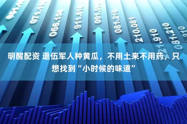 明醒配资 退伍军人种黄瓜,不用土来不用药,只想找到“小时候的味道”